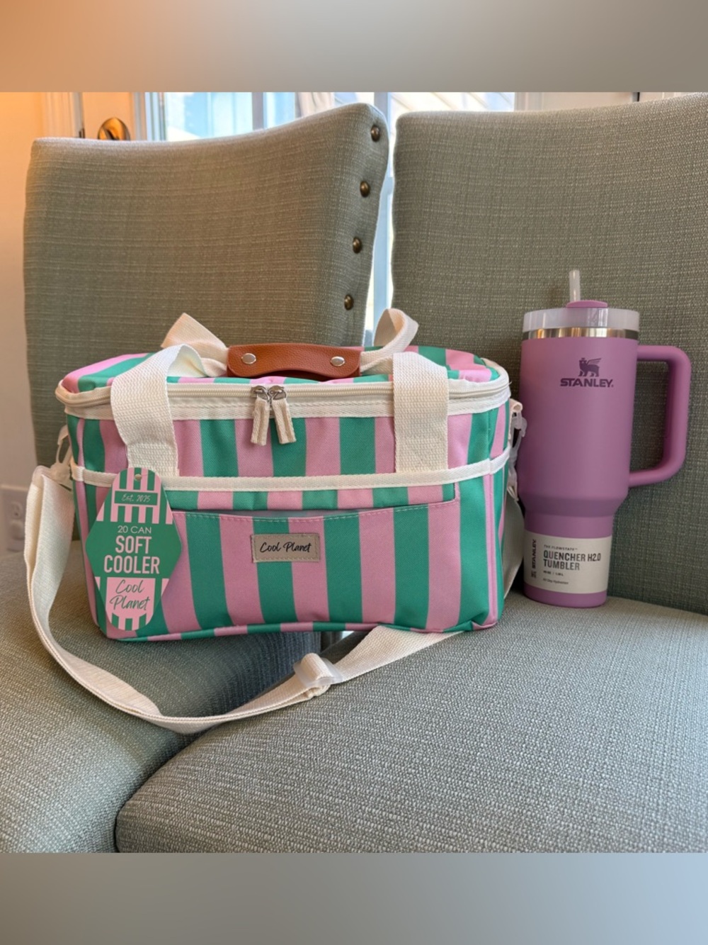 STANLEY 40oz Tumbler & ‘Cool Planet’ Soft Cooler Bag in Pink & Green - NWT
